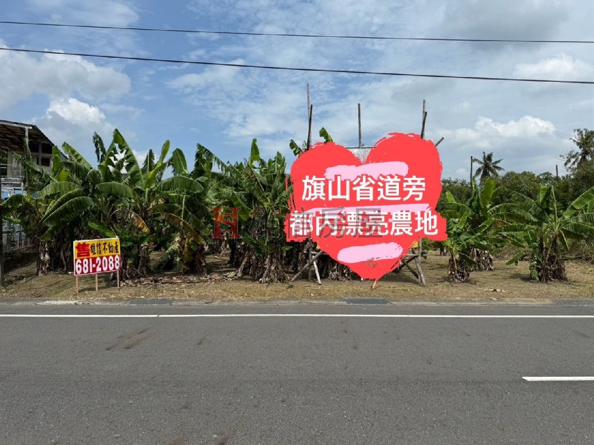 旗山省道旁都內農地