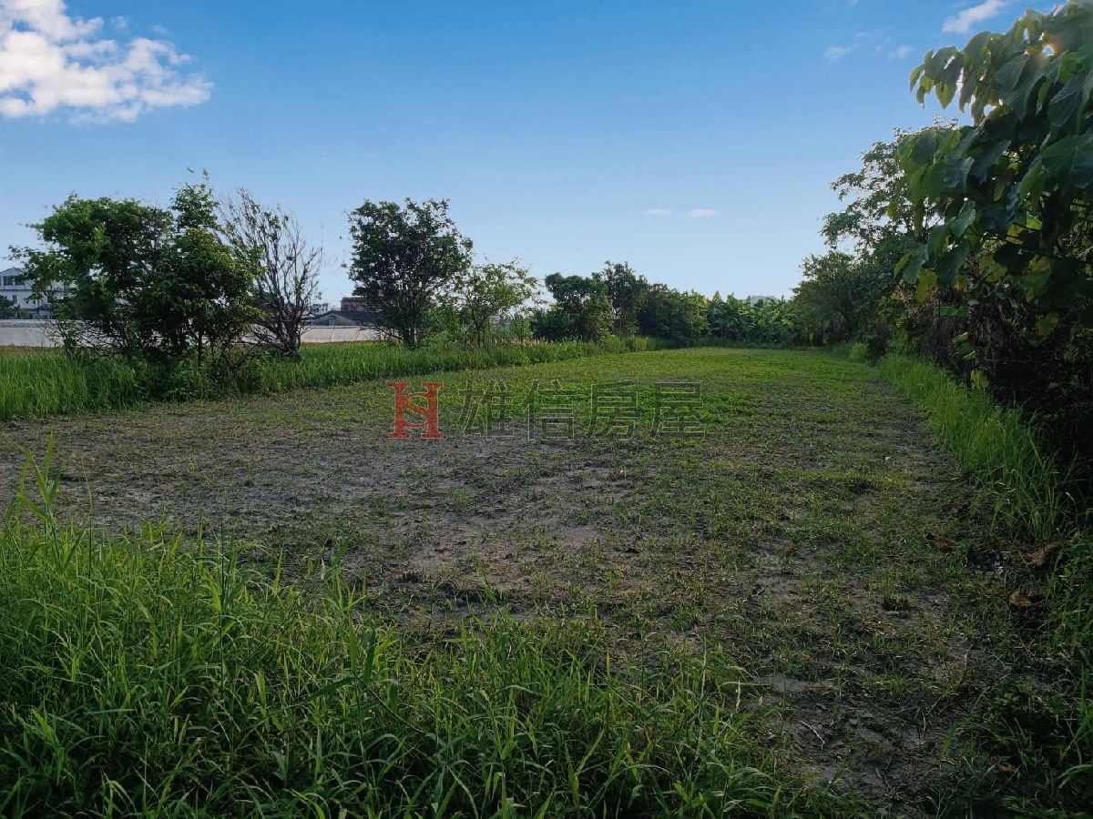 美濃福美路農地