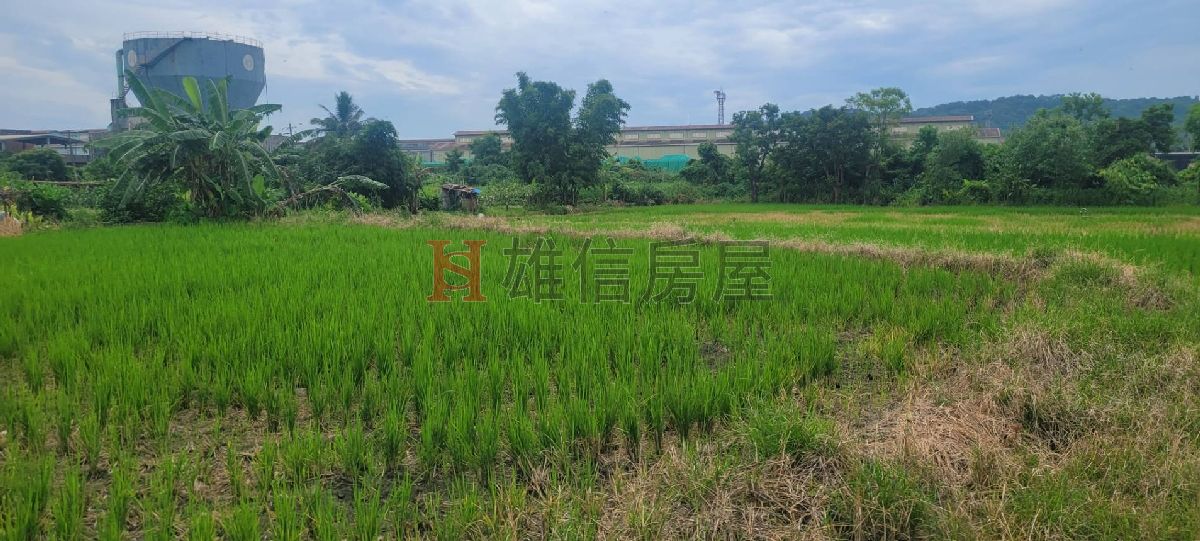 花蓮後火車站旁超大建地加都內農地