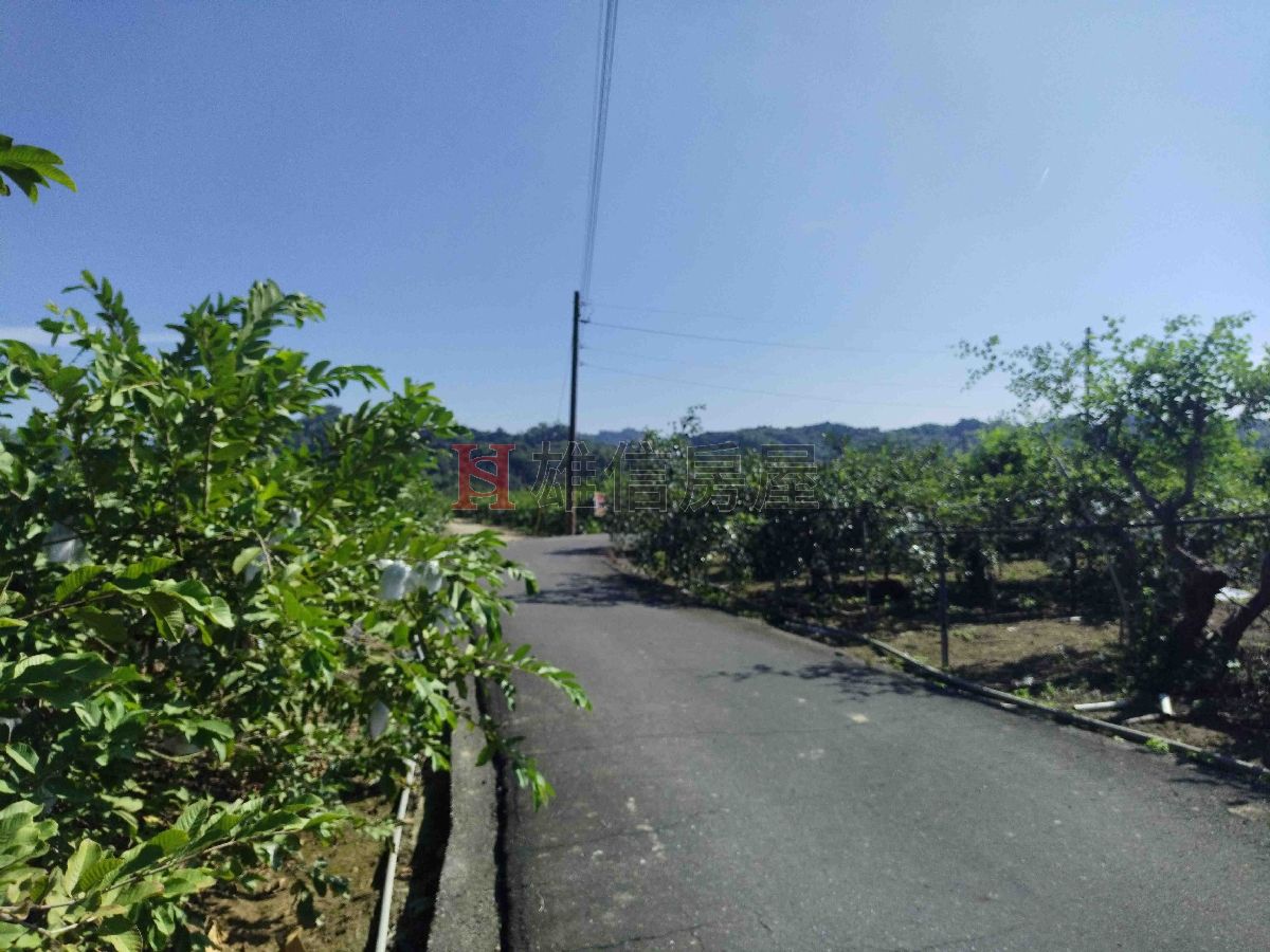 燕巢樹科大超便宜美農地