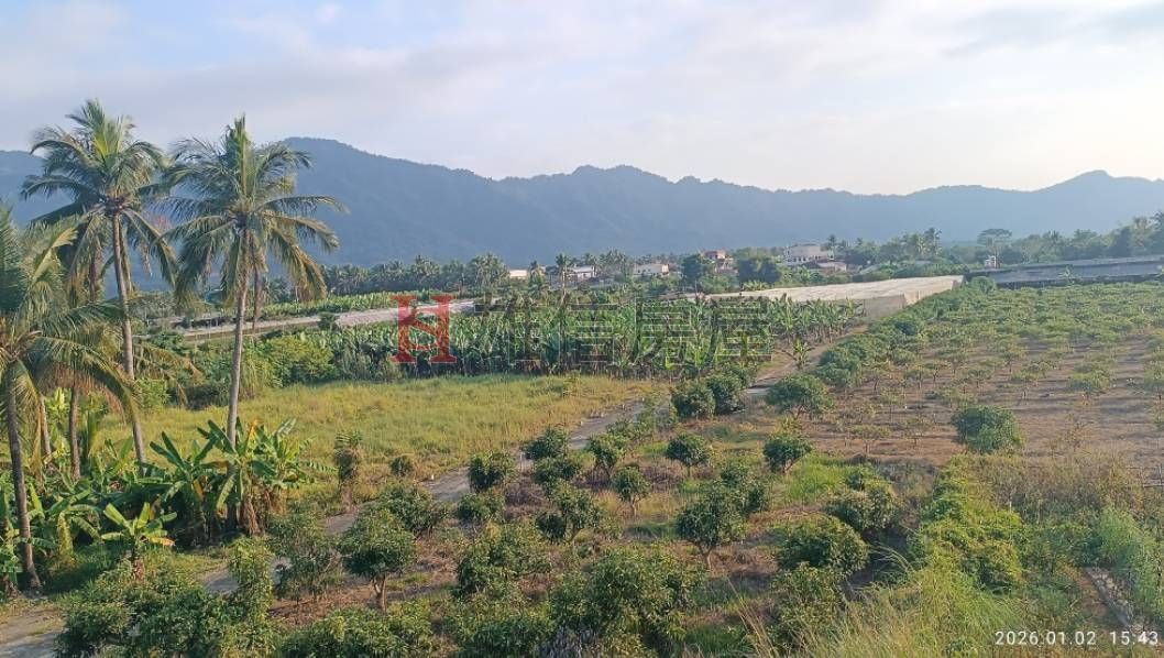 杉林 月眉橋方正農地(5.97分)