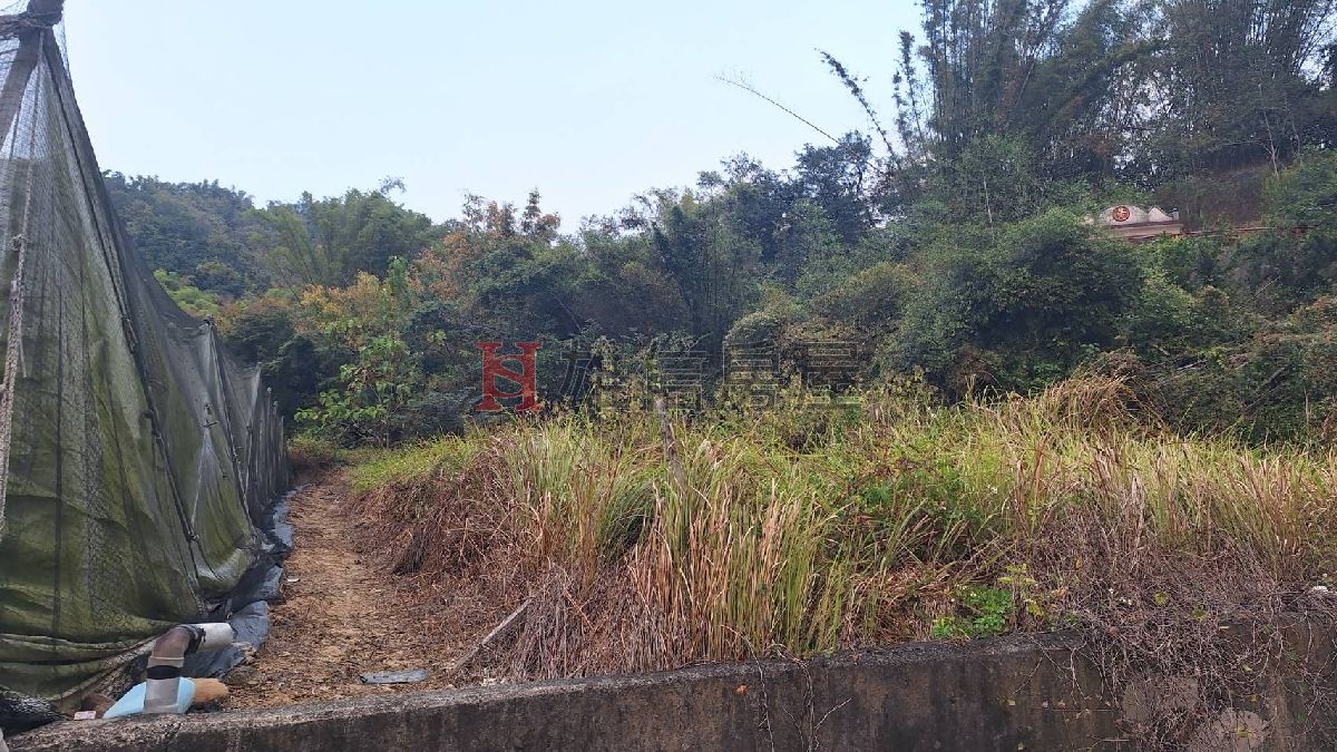 美濃廣興國小後依山小農地