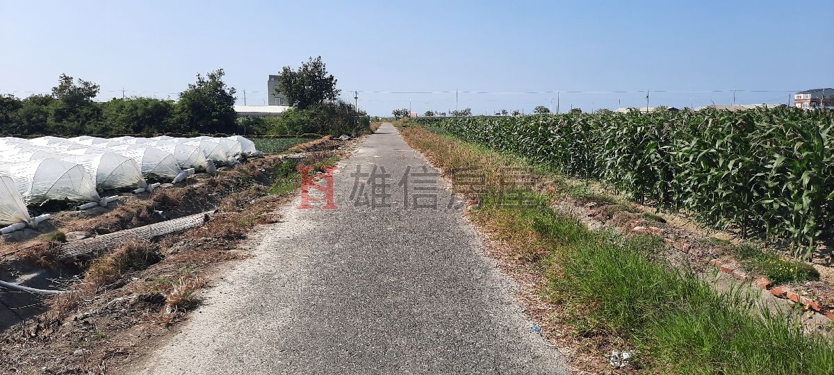 台南區北門農地