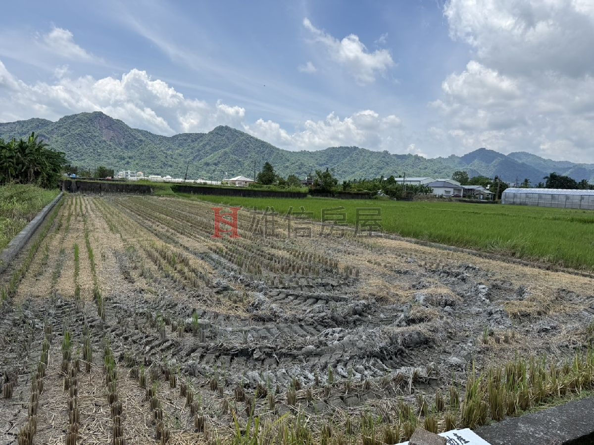 美濃優質小農地/地形方正好規劃