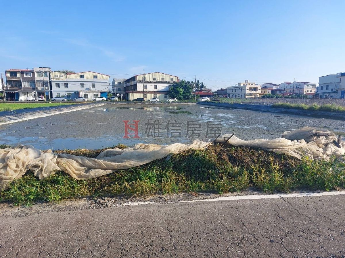 美濃中壇野蓮池