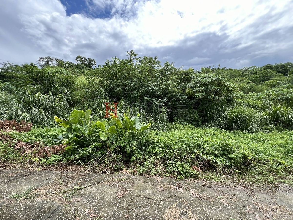 大樹三和一甲休閒農地