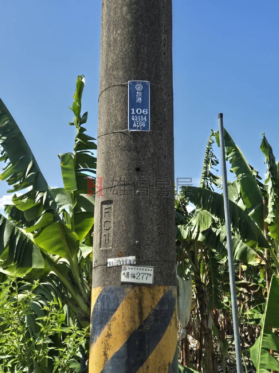 旗山超便宜農地