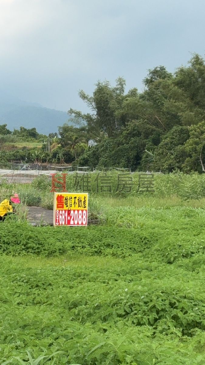 杉林區杉林橋景觀農地