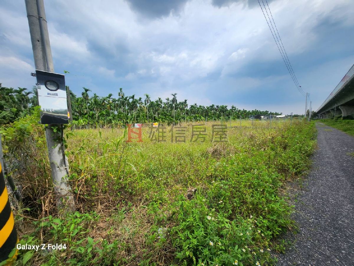 竹田鄉豐田國小快樂小農地