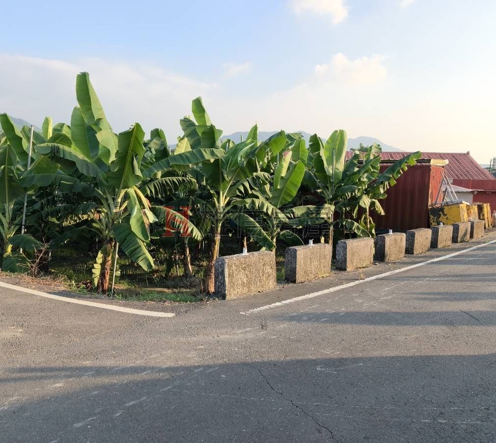 漂亮農地
